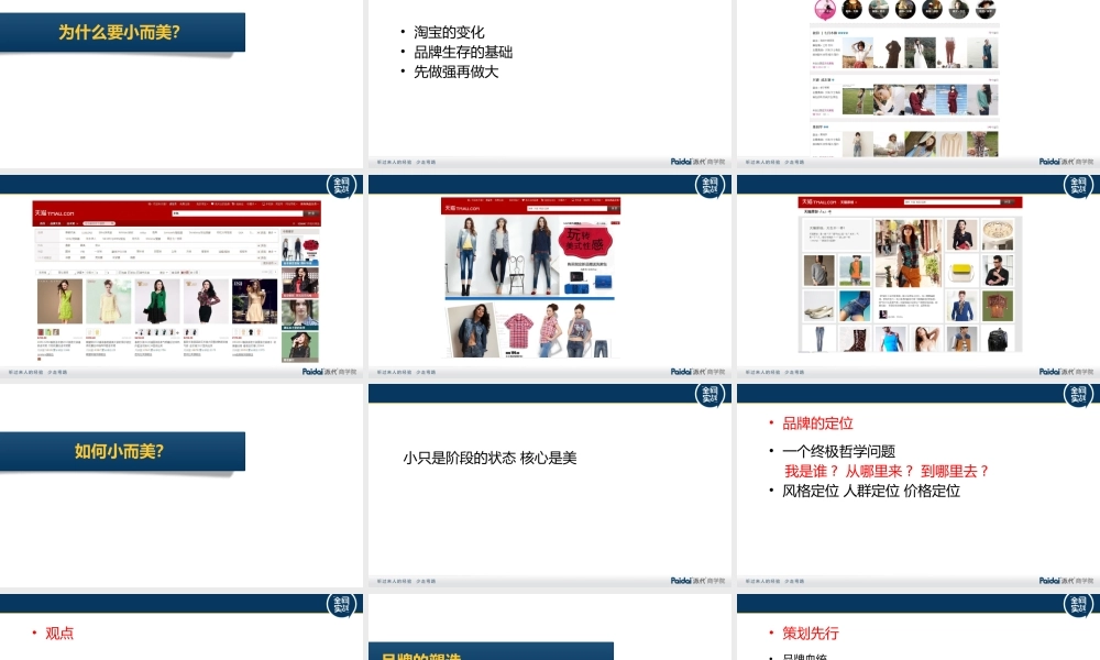 风格化导向下的品牌运营.pptx