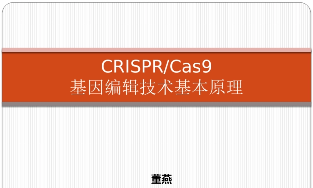 基因编辑.pptx