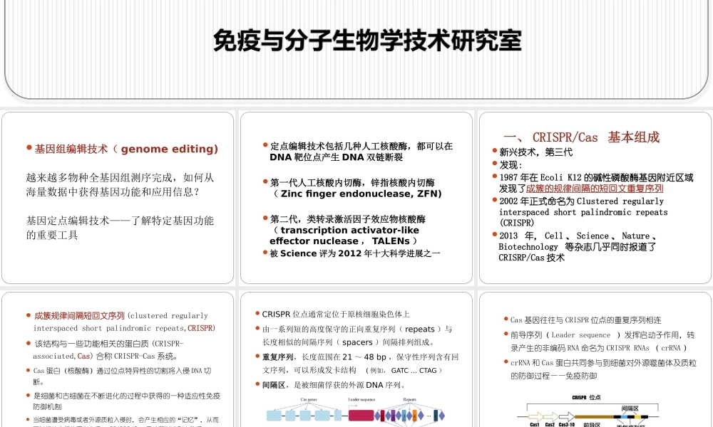 基因编辑.pptx