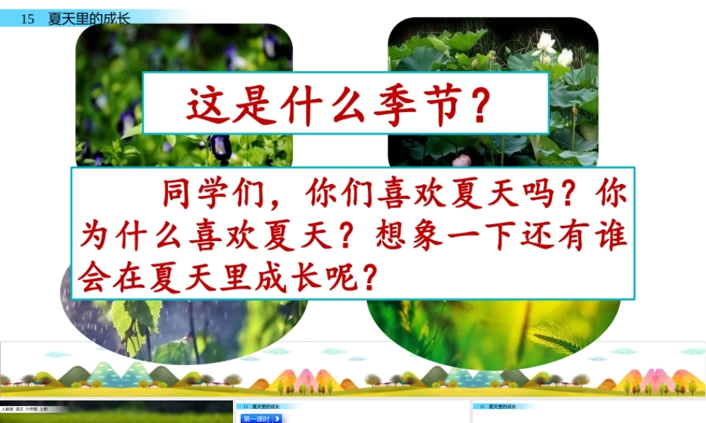 六年级上册语文课件-15 夏天里的成长人教（部编版） (共60张PPT).pptx