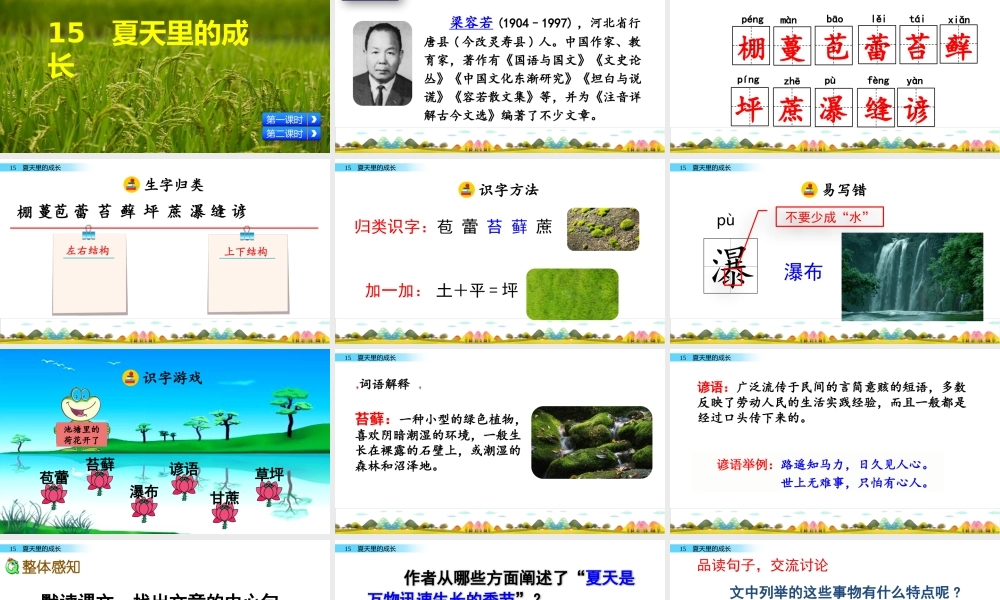 六年级上册语文课件-15 夏天里的成长人教（部编版） (共60张PPT).pptx