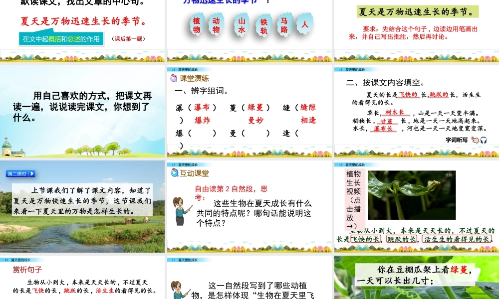 六年级上册语文课件-15 夏天里的成长人教（部编版） (共60张PPT).pptx