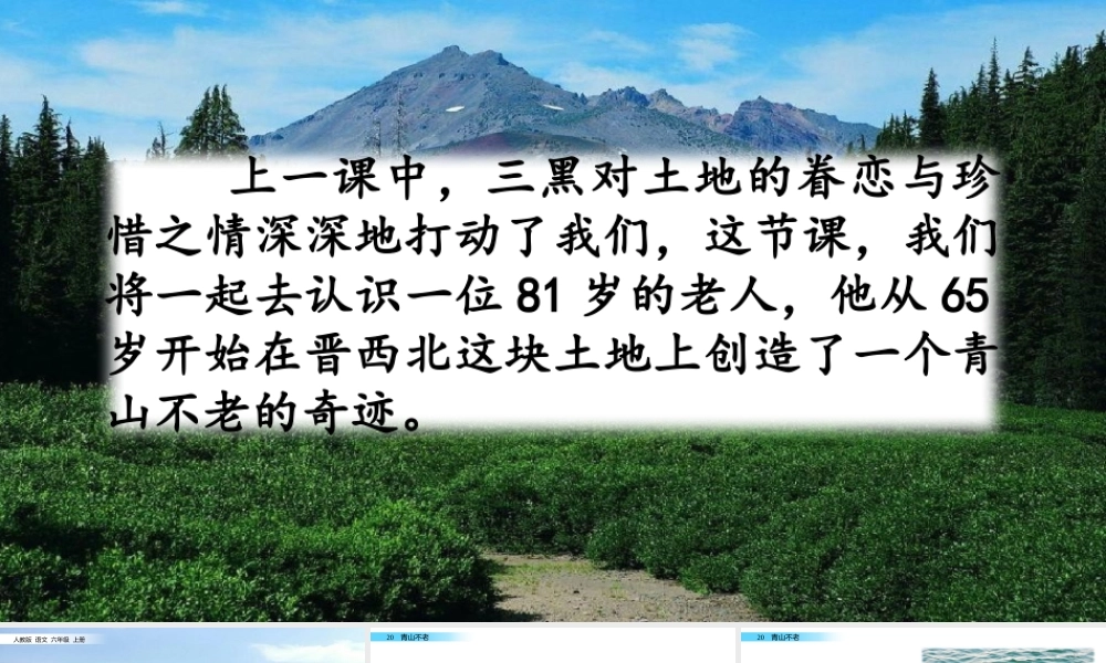 六年级上册语文课件-20 青山不老人教（部编版） (共41张PPT)(1).pptx