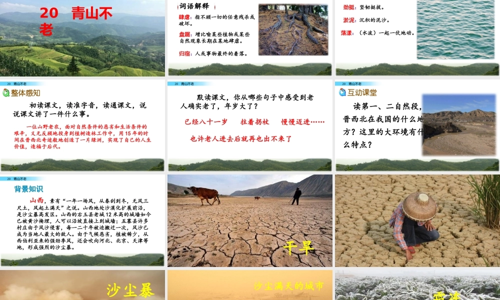 六年级上册语文课件-20 青山不老人教（部编版） (共41张PPT)(1).pptx