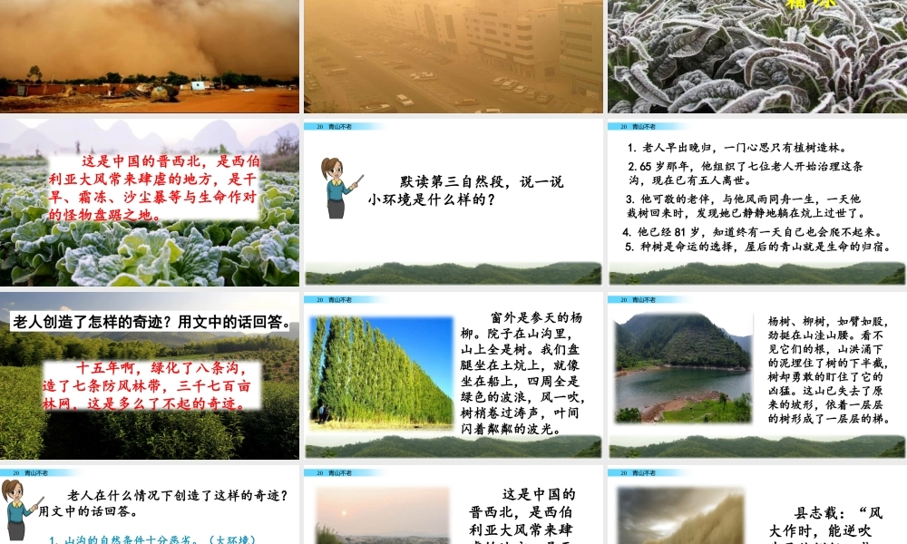 六年级上册语文课件-20 青山不老人教（部编版） (共41张PPT)(1).pptx