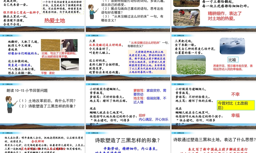 六年级上册语文课件-19 三黑和土地人教（部编版） (共28张PPT)(1).pptx