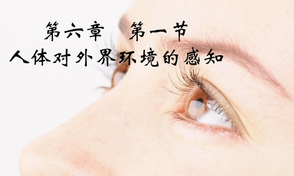 人体对外界环境的感知(新课标).pptx