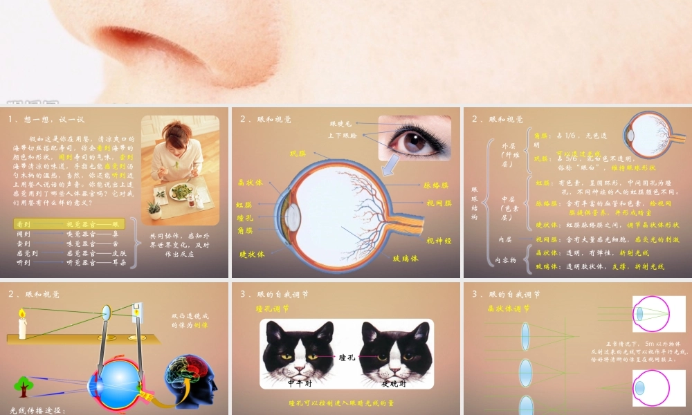 人体对外界环境的感知(新课标).pptx