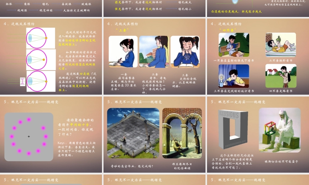 人体对外界环境的感知(新课标).pptx