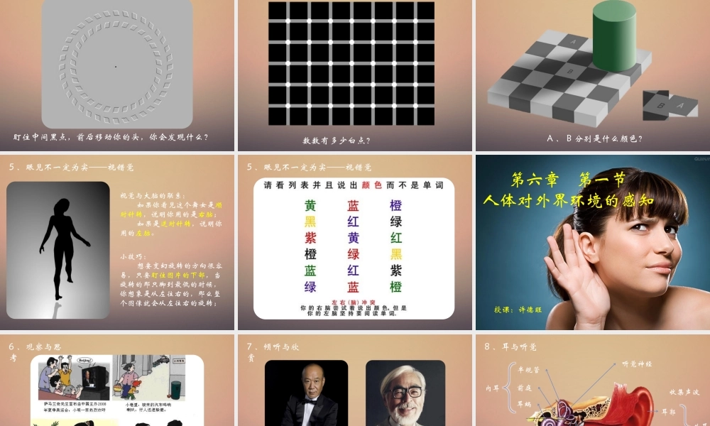 人体对外界环境的感知(新课标).pptx