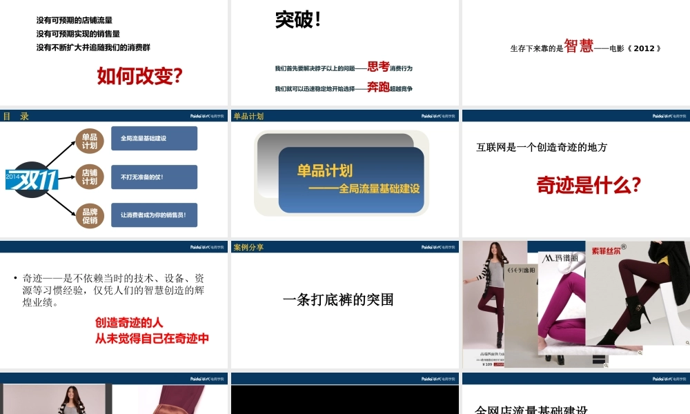 双十一从单品突破到全店转化0910byZDY(1).pptx