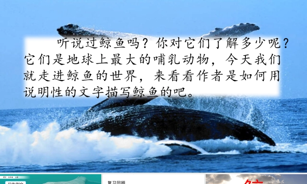 习作例文：《鲸》《风向袋的制作》.pptx