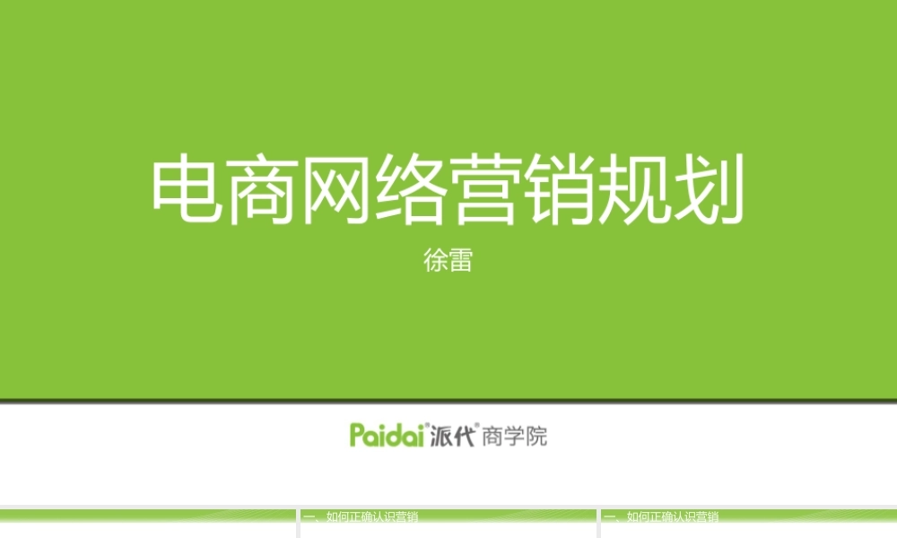 徐雷@电商网络营销规划.pptx