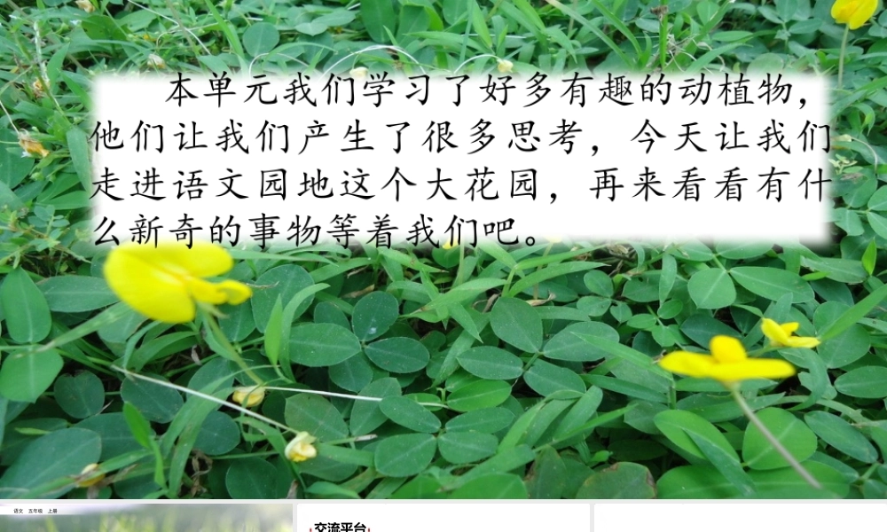 语文园地(27).pptx