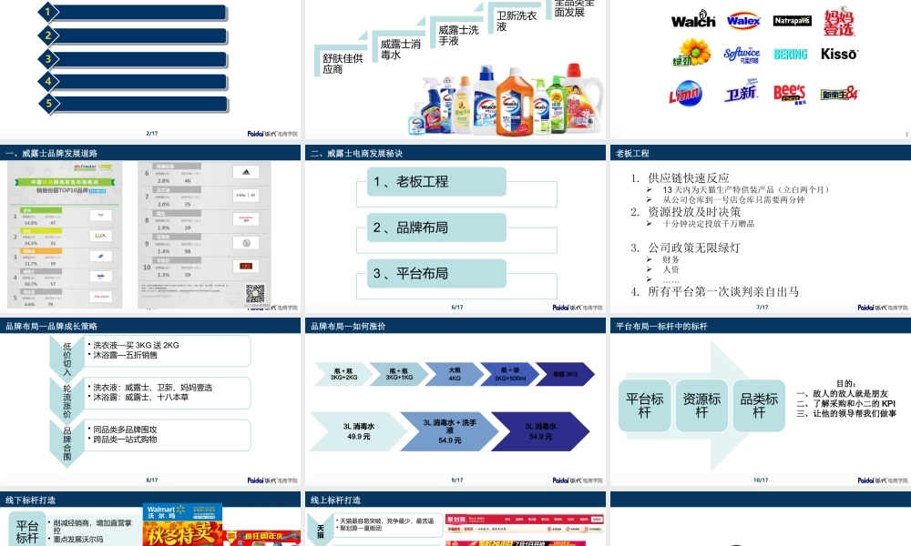 周杰威露士全网布局派代0630.pptx