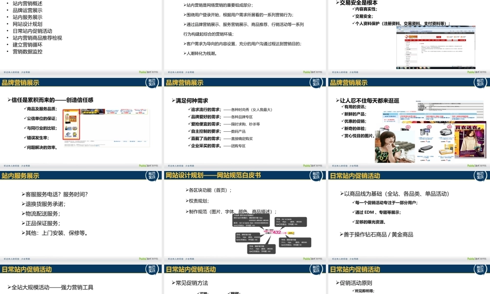 朱启功 站内营销.pptx