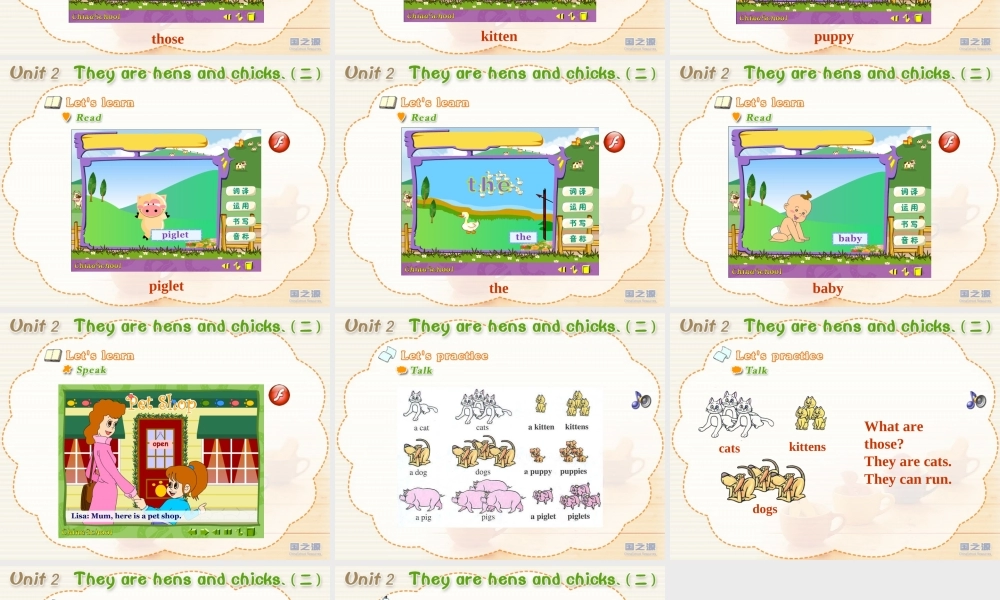 Unit 2 they are hens and chicks (二).ppt