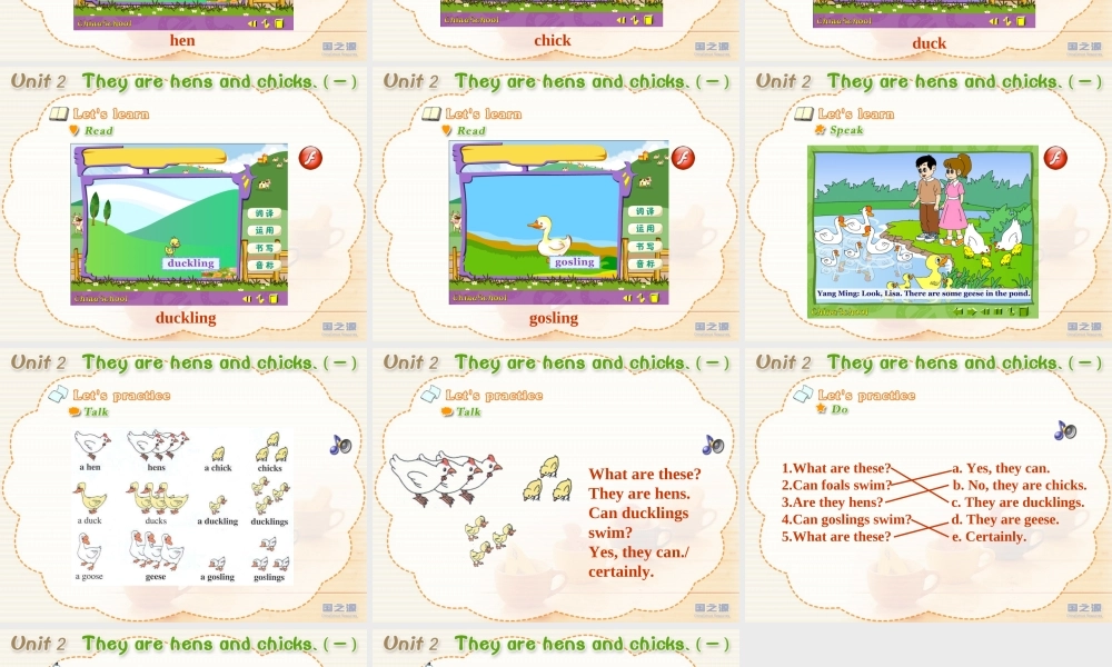 Unit 2 they are hens and chicks (一).ppt