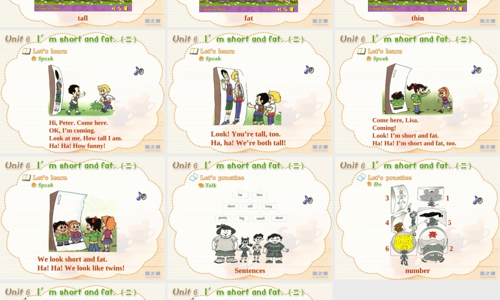 Unit 6 I'm short and fat. (二).ppt