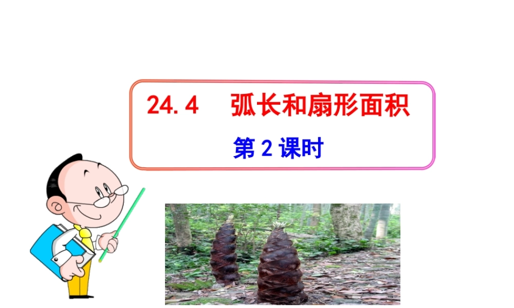 初中数学教学课件：24.4弧长和扇形面积(第2课时)（人教版九年级上）.ppt