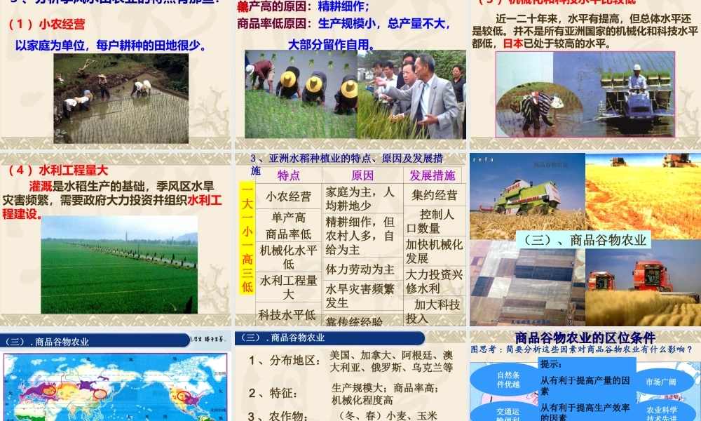 第八课时：以种植业为主的农业地域类型.ppt