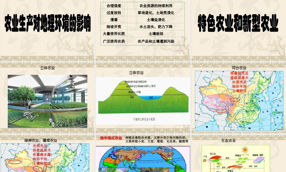 第十课时：以混合农业为主的农业地域类型.ppt