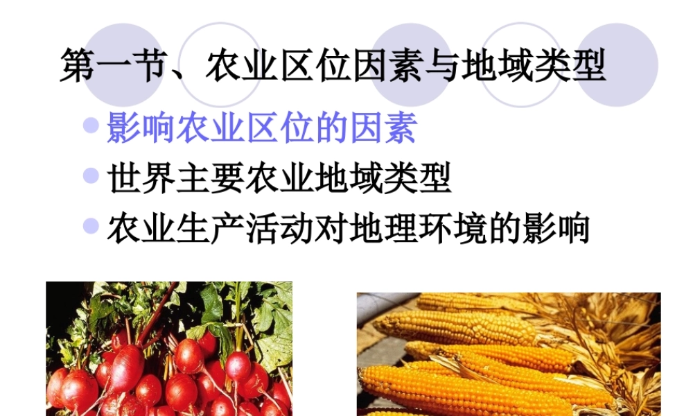 第七课时：农业区位因素.ppt