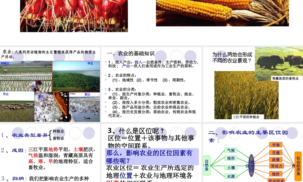 第七课时：农业区位因素.ppt