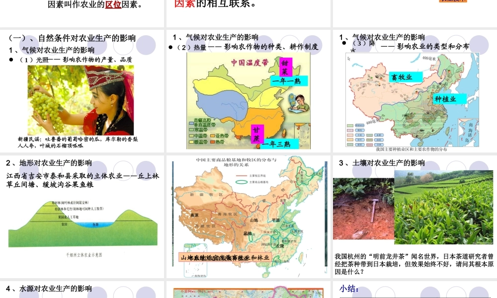 第七课时：农业区位因素.ppt