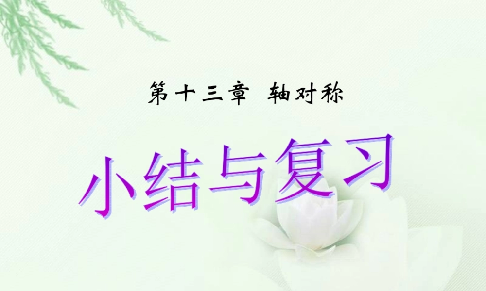 第十三章复习课件.ppt