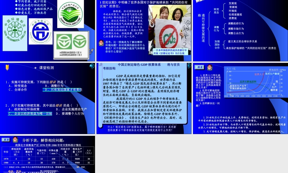 第十七课时：通向可持续发展的道路.ppt