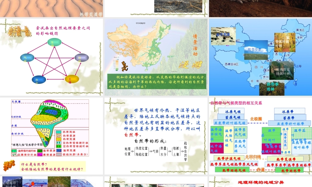 第十三课时：地理环境整体性和地域分异.ppt