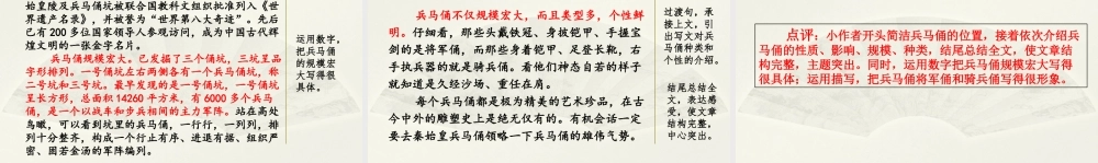 范文2：兵马俑.pptx