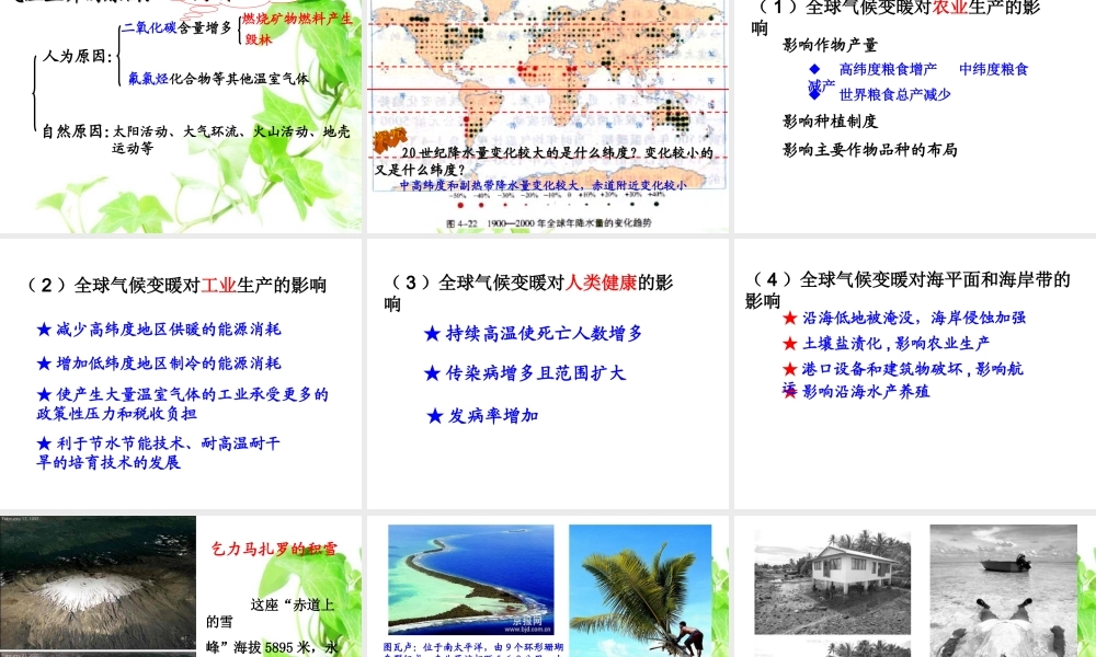 课3 全球气候变化对人类活动的影响.ppt