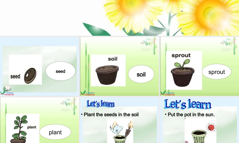 人教PEP版英语六上《 Recycle 2》PPT课件[www.edudown.net].ppt