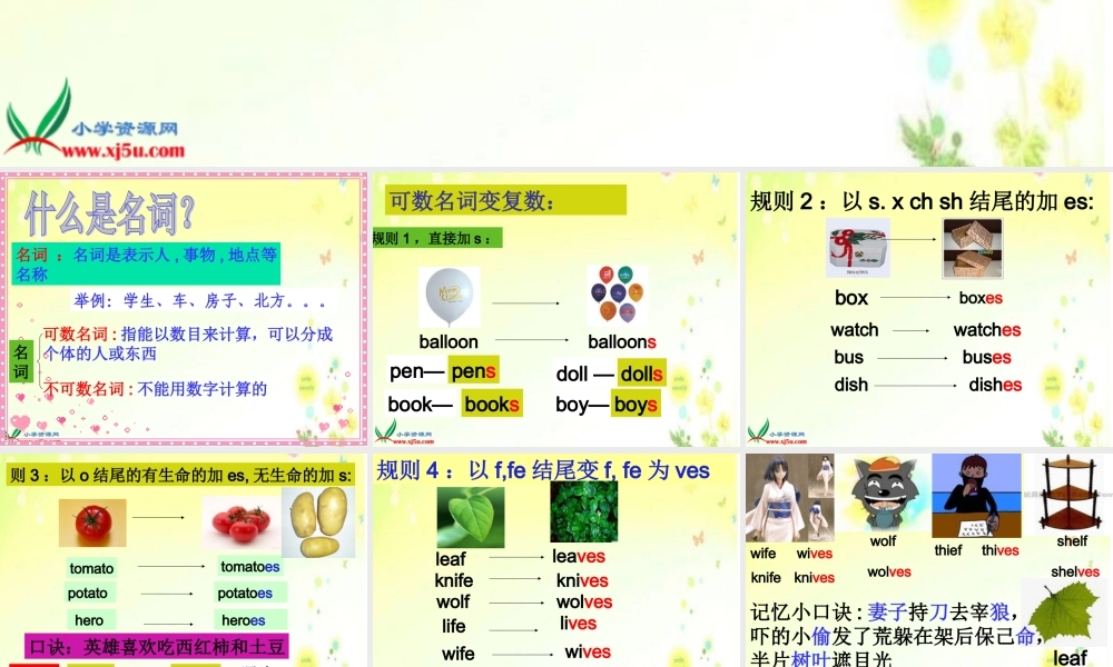 人教PEP版英语六下《期末复习 名词PPT课件[www.edudown.net].ppt