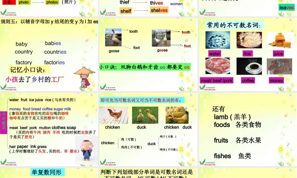 人教PEP版英语六下《期末复习 名词PPT课件[www.edudown.net].ppt