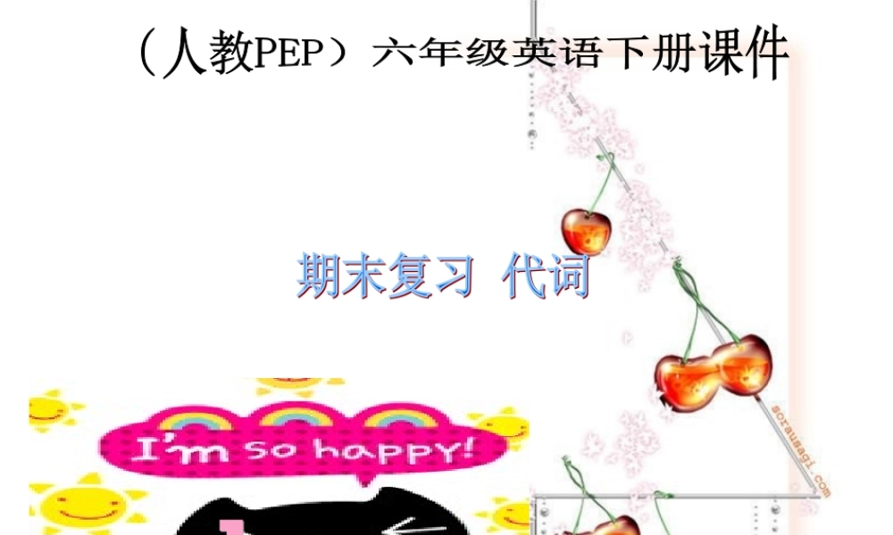 人教PEP版英语六下《期末复习》 代词 PPT课件[www.edudown.net].ppt