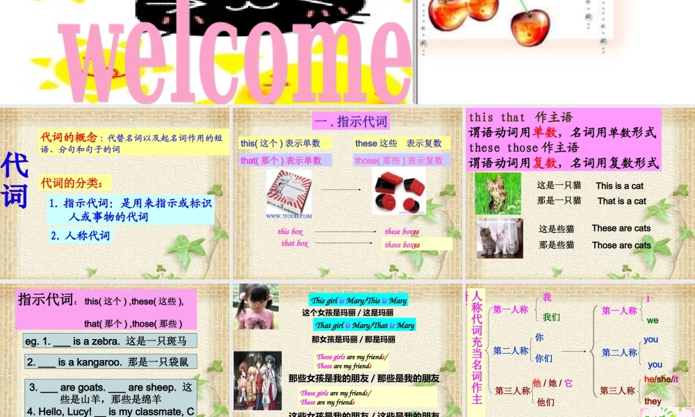 人教PEP版英语六下《期末总复习》一般代词PPT课件.ppt