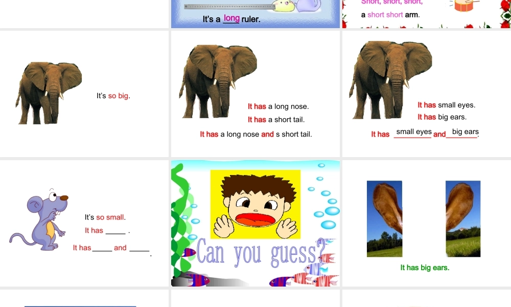 人教PEP版英语三下《Unit 6 At the zoo》A Let’s talk Let’s learn PPT课件[www.edudown.net].ppt