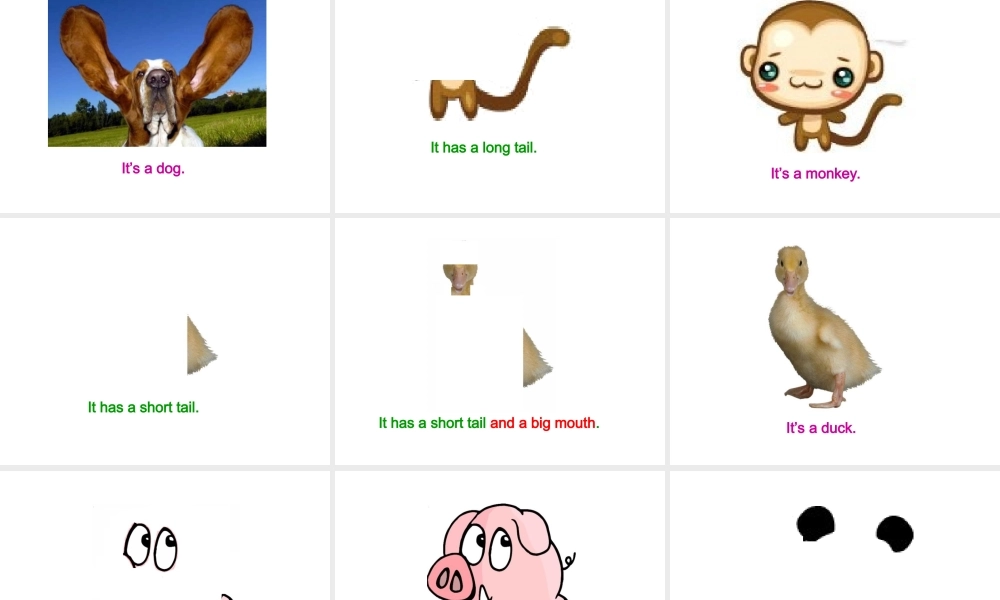 人教PEP版英语三下《Unit 6 At the zoo》A Let’s talk Let’s learn PPT课件[www.edudown.net].ppt