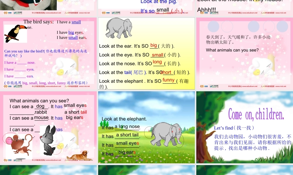 人教PEP版英语三下《Unit 6 At the zoo》PPT课件之五[www.edudown.net].ppt