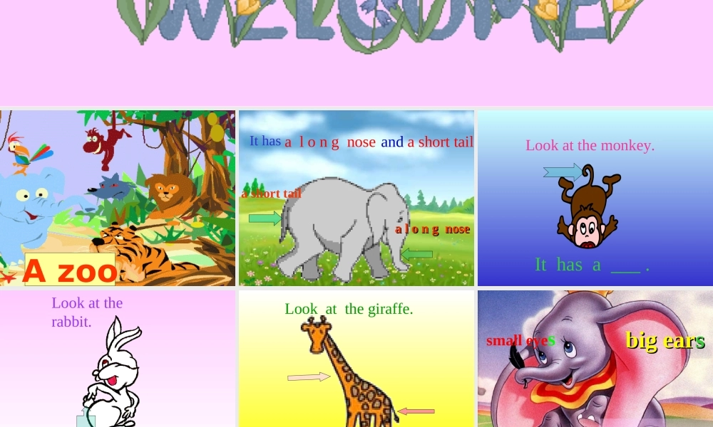 人教PEP版英语三下《Unit 6 At the zoo》PPT课件之六[www.edudown.net].PPT