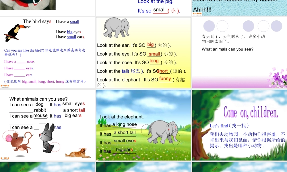 人教PEP版英语三下《Unit 6 At the zoo》PPT课件之一[www.edudown.net].ppt