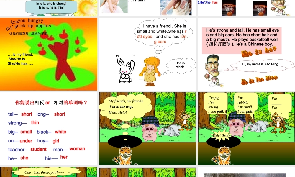 人教PEP版英语四上《Unit 3 My Friends 》 Part A PPT课件[www.edudown.net].ppt