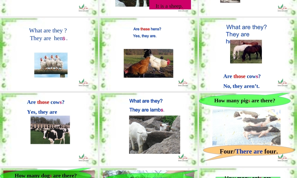 人教PEP版英语四下《Unit 6 At a farm》（第二课时）PPT课件[www.edudown.net].ppt