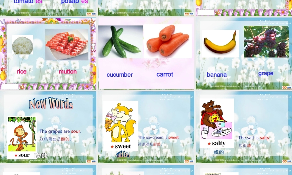 人教PEP版英语五上《Unit 3 What’s Your Favourite Food》Section B PPT课件[www.edudown.net].ppt