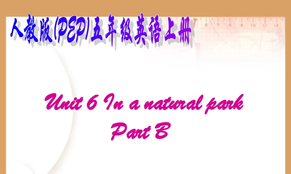 人教PEP版英语五上《Unit6 In a Nature Park 》Part B PPT课件[www.edudown.net].ppt