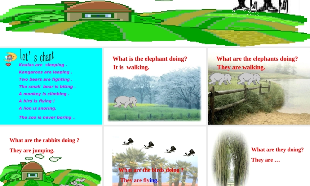 人教PEP版英语五下《unit 5 look at the monkeys》 PPT课件之六[www.edudown.net].ppt