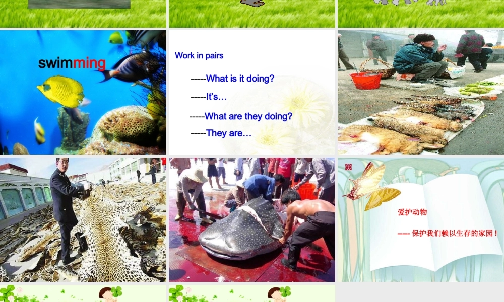 人教PEP版英语五下《unit 5 look at the monkeys》PPT课件之四[www.edudown.net].ppt